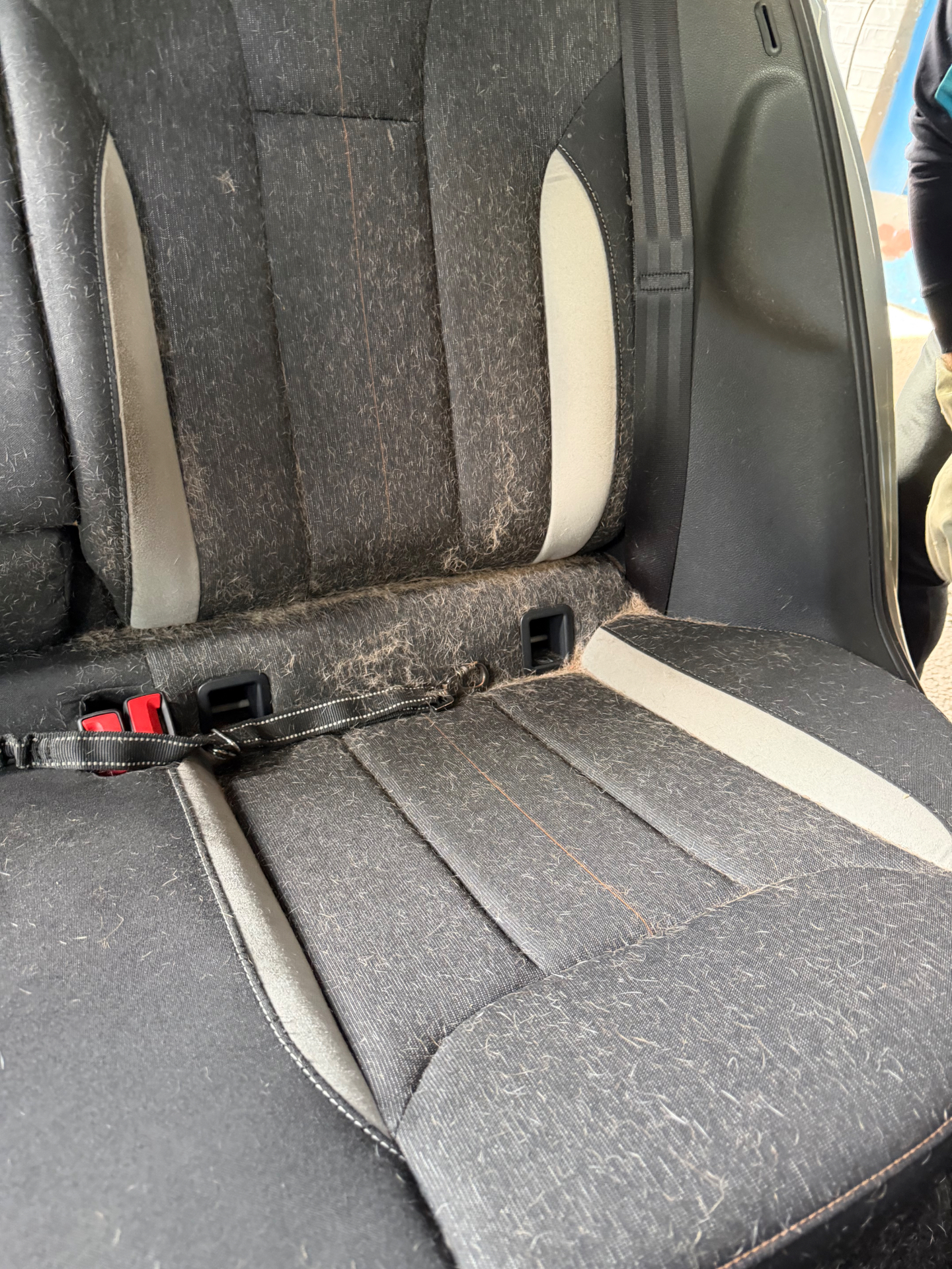 Car interior before valet — covered in pet hair